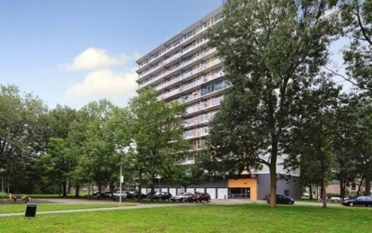 Agavedreef, Utrecht