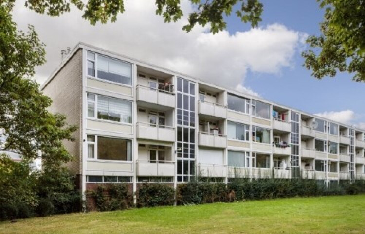 Eisenhowerlaan, Utrecht