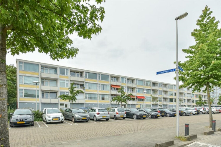 Eisenhowerlaan, Utrecht