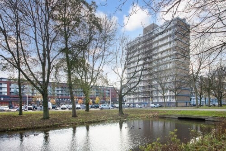 Euterpedreef, Utrecht