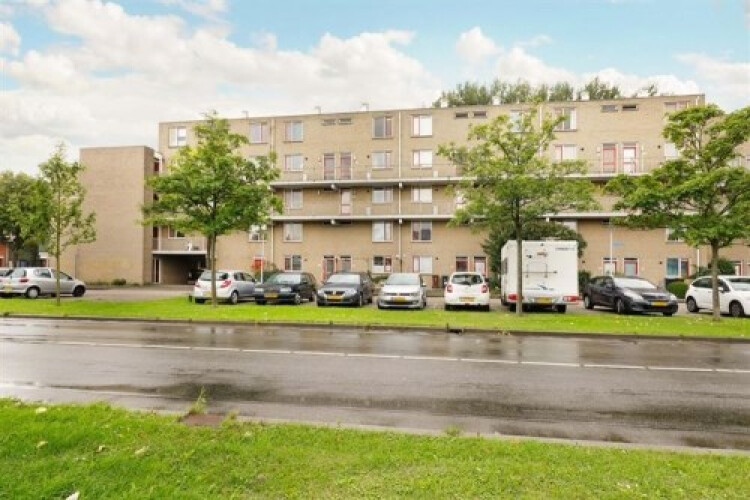 Fivelingo, Utrecht