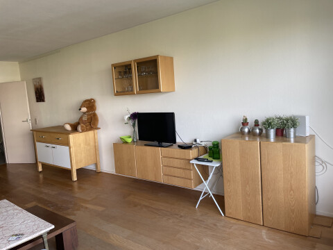 woonkamer - tv en kast