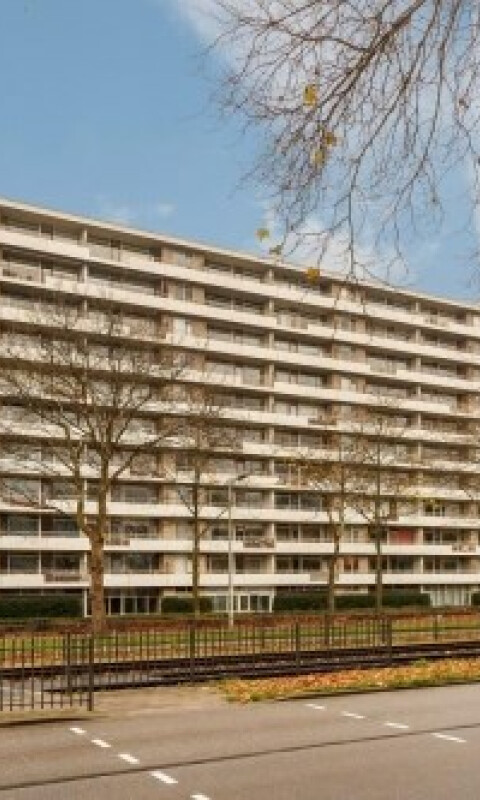 Livingstonelaan