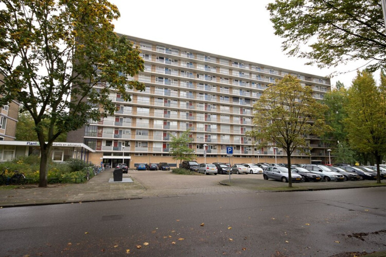 Livingstonelaan, Utrecht