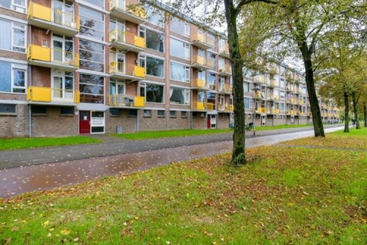 Moezeldreef, Utrecht